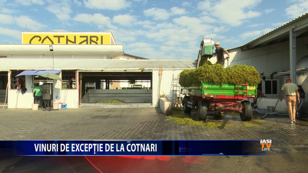 VINURI DE EXCEPTIE DE LA COTNARI