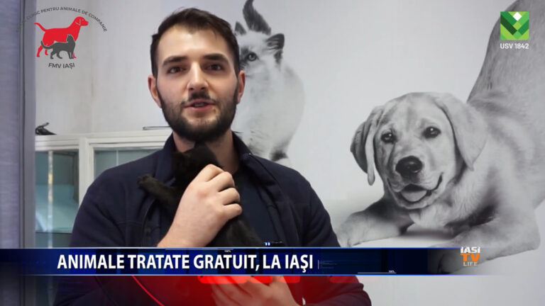 ANIMALE TRATATE GRATUIT, LA IAȘI