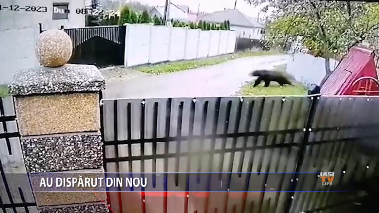 Au dispărut din nou