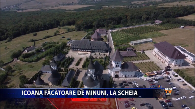 Icoana făcătoare de minuni, la Scheia