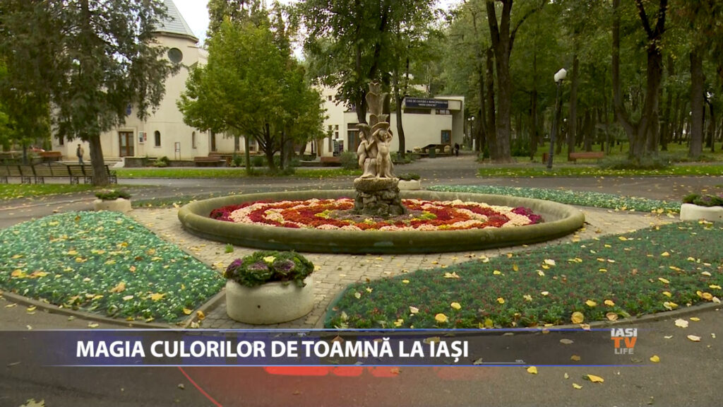 MAGIA CULORILOR DE TOAMNA LA IASI