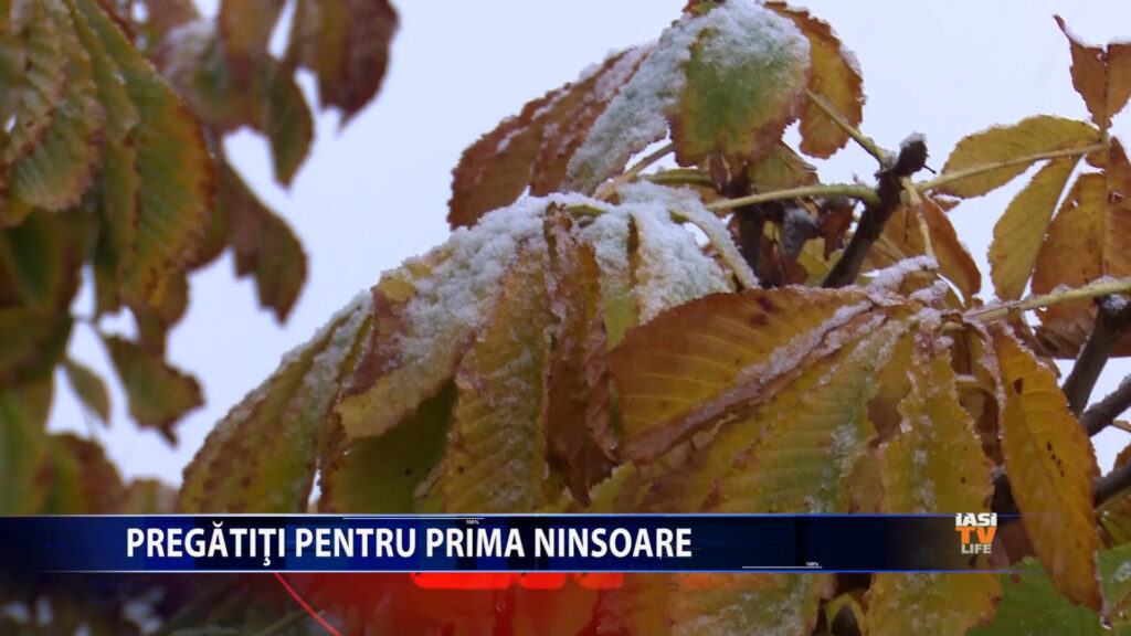 Pregătiți pentru prima ninsoare