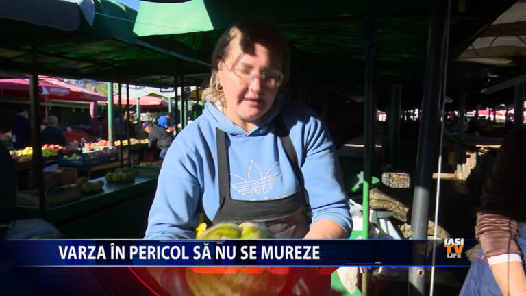 FĂRĂ VARZĂ MURATĂ DE CRĂCIUN