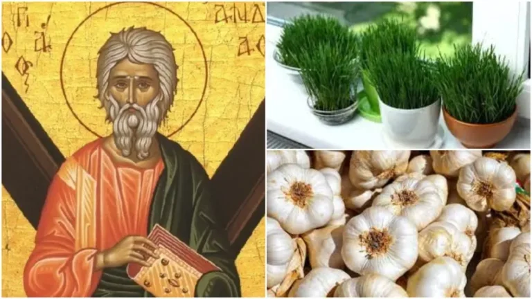 Tradiții și obiceiuri de Sfântul Andrei