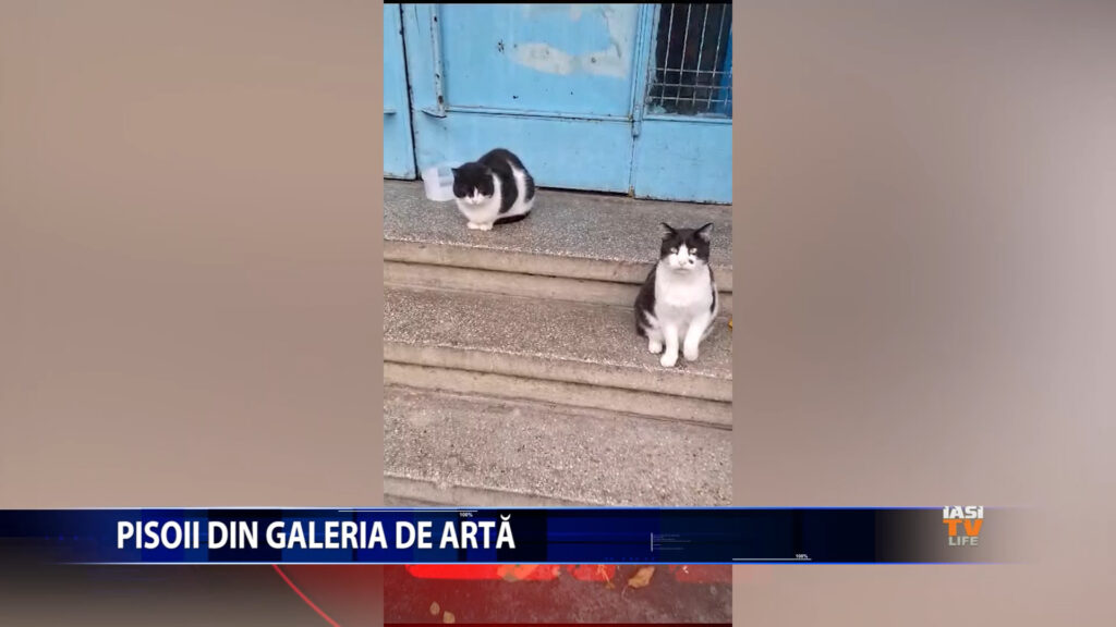 Pisoii din galeria de artă