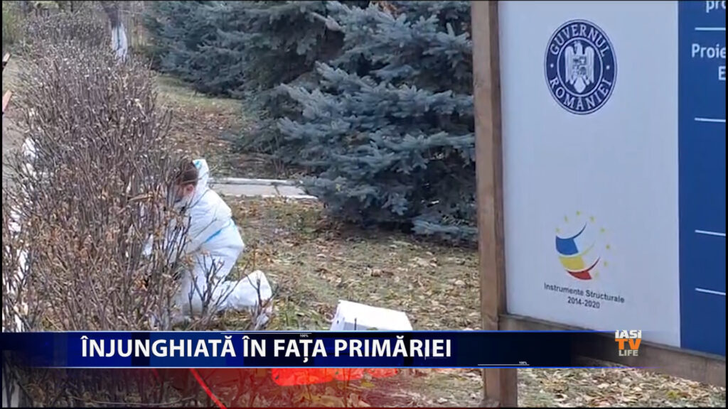 Injunghiata in fata Primariei!