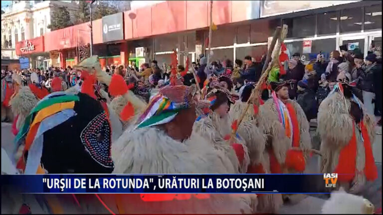 „Urșii de la Rotunda”, urături la Botoșani