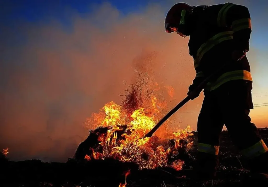 În Moinești a izbucnit un incendiu devastator de vegetație uscată afectând o suprafață de aproximativ 2 hectare