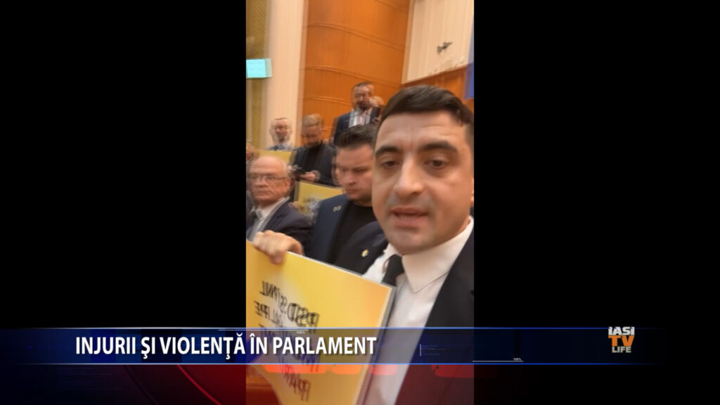 Injurii si violenta in Parlament