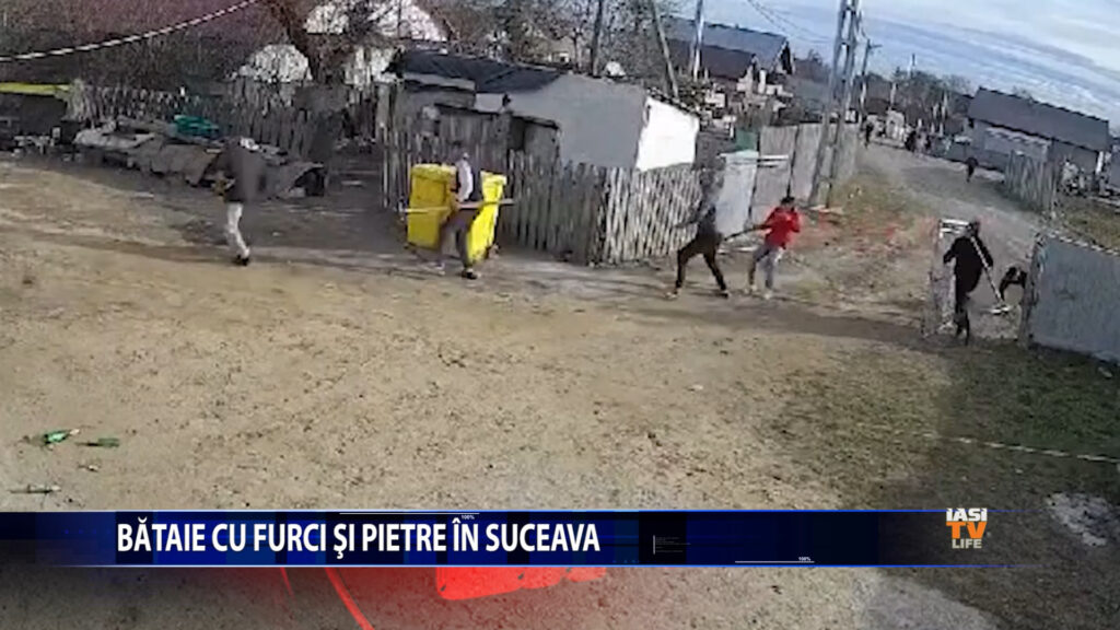 Bătaie cu furci și pietre în Suceava