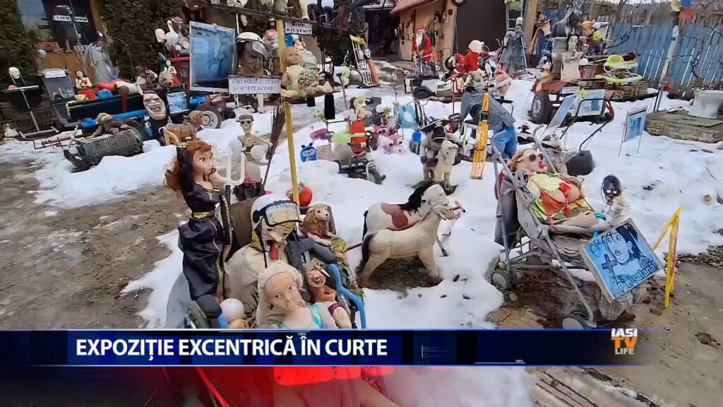 Expoziție excentrică în curte