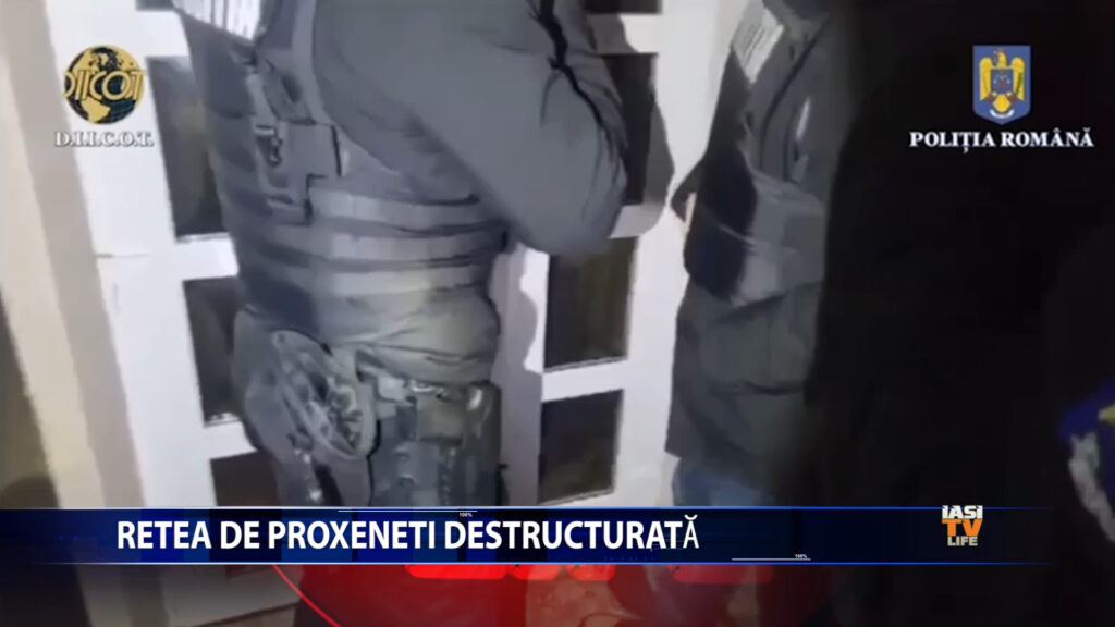 Rețea de proxeneți destructurată