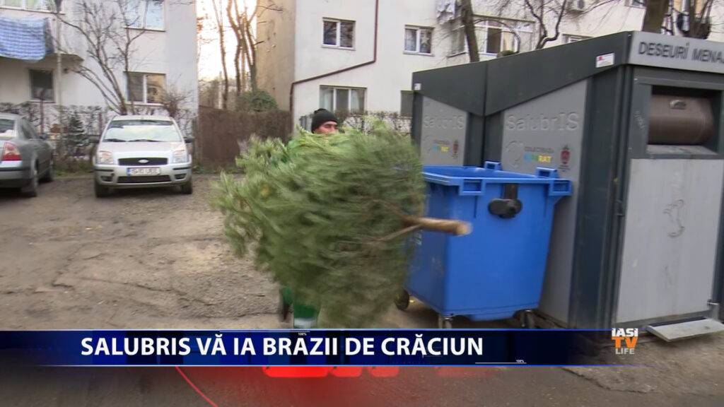 Salubris vă ia brazii de Crăciun