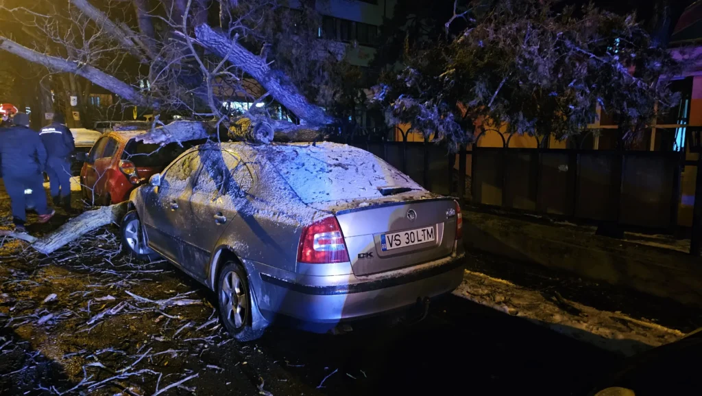 VIDEO. Un copac prăbușit pe strada Petre Andrei a distrus simultan două mașini