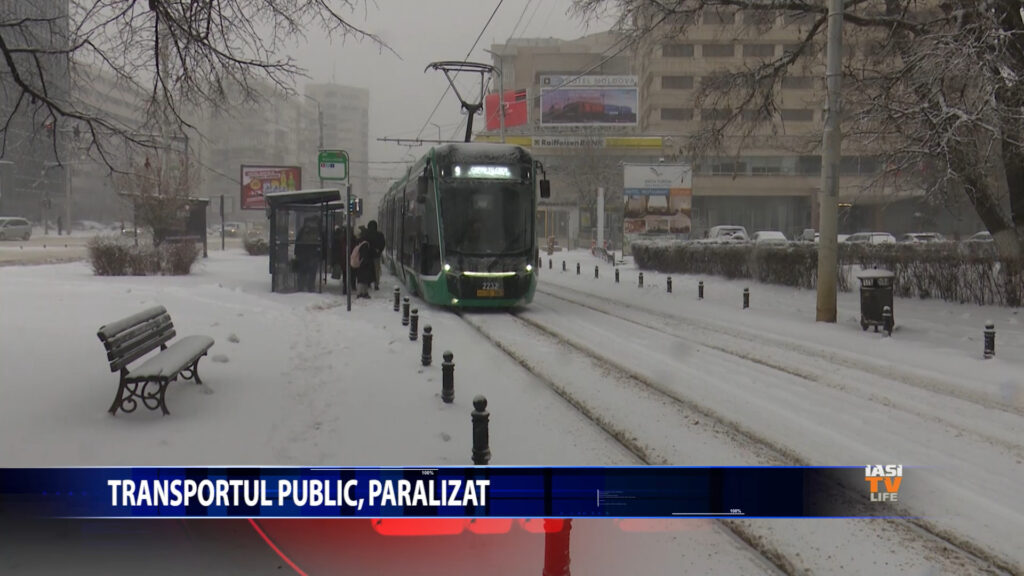 Transportul public, paralizat!