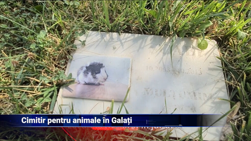 Cimitir pentru animale în Galați