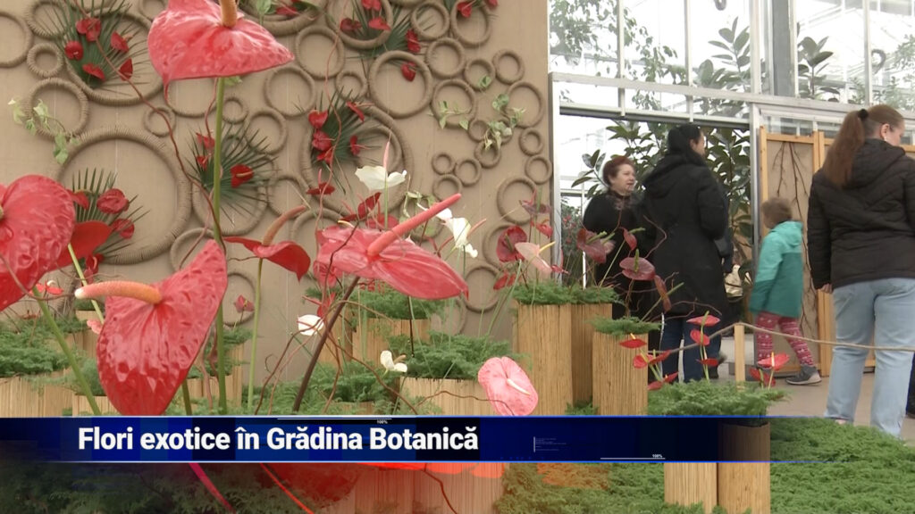 Flori exotice în Grădina Botanică