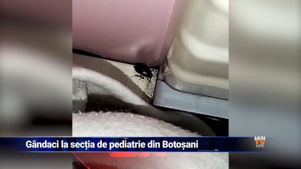 Invazie de gândaci la Spitalul Mavromati