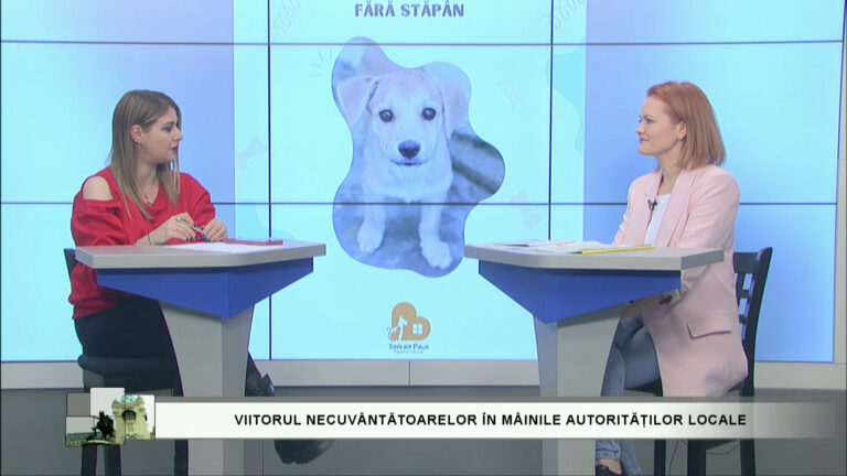 IAȘUL TE VEDE / VIITORUL NECUVÂNTĂTOARELOR ÎN MÂINILE AUTORITĂȚILOR LOCALE