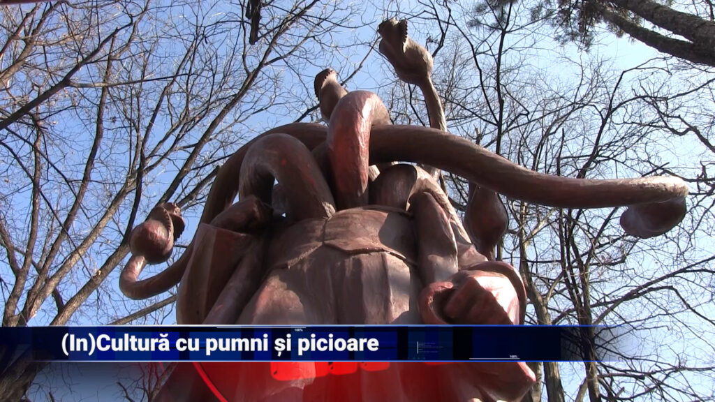 (In)cultura cu pumni și picioare
