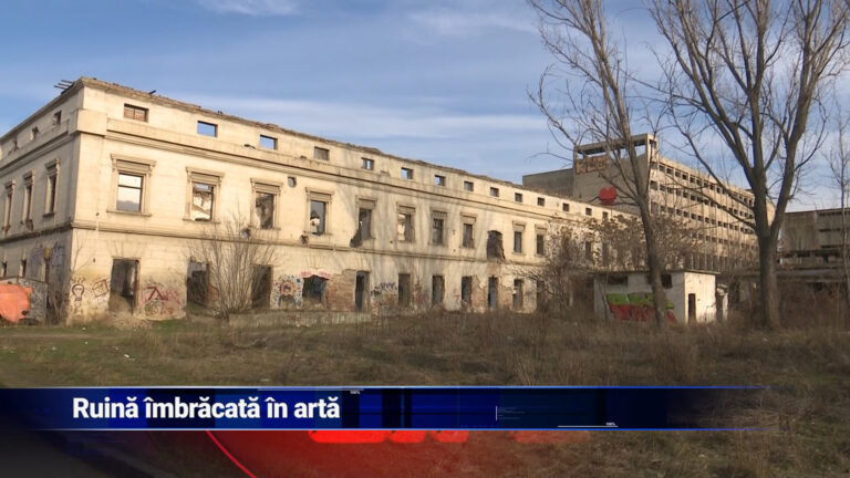 Ruină îmbrăcată în artă