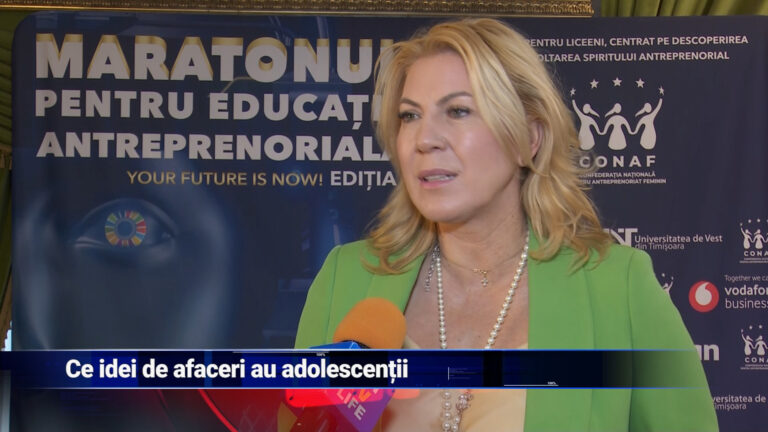 Ce idei de afaceri au adolescenții