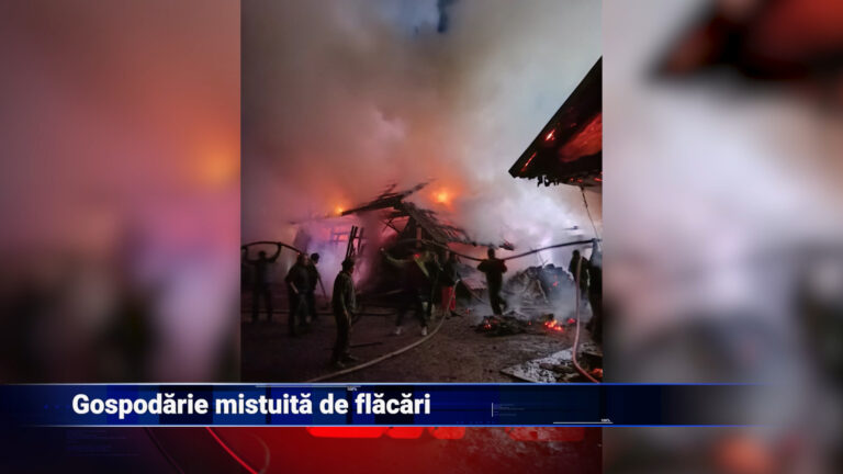 Gospodărie mistuită de incendiu