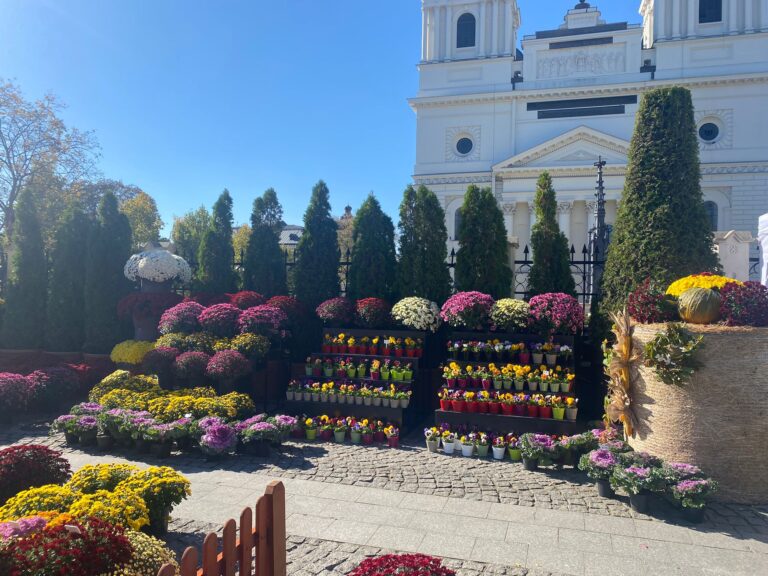 Trei zile în care Iașul devine centrul meșterilor florali. Întâlnire și expoziție între 26-28 aprilie