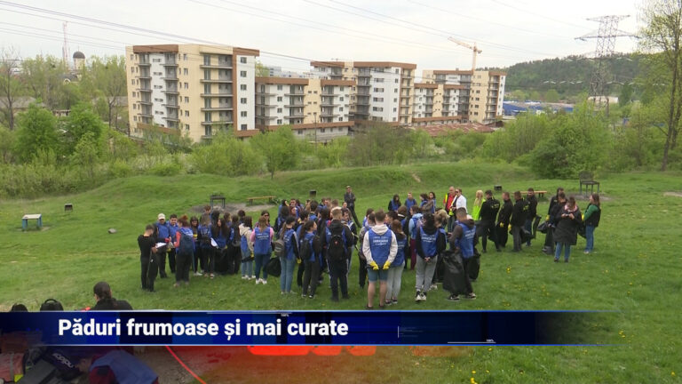 Păduri frumoase şi mai curate
