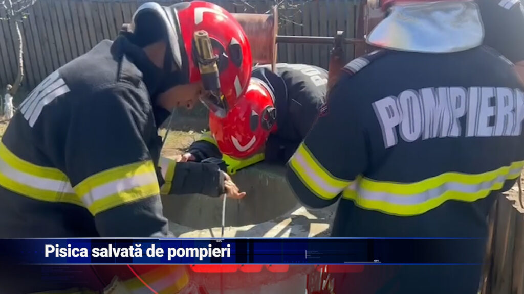 Pisica salvată de pompieri