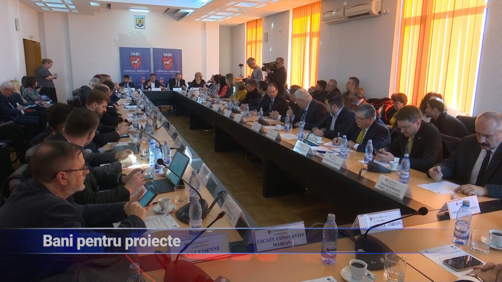 Bani pentru proiecte