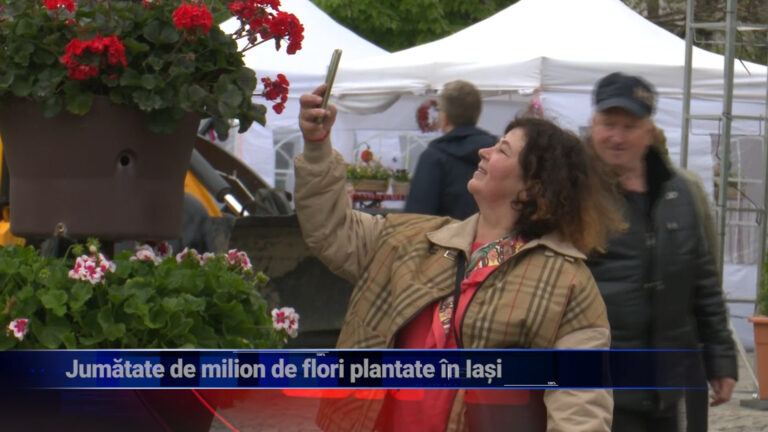 Jumătate de milion de flori plantate în Iași