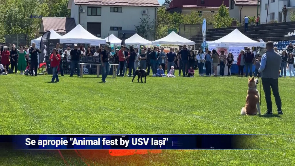 Se apropie „Animal Fest by USV Iași”