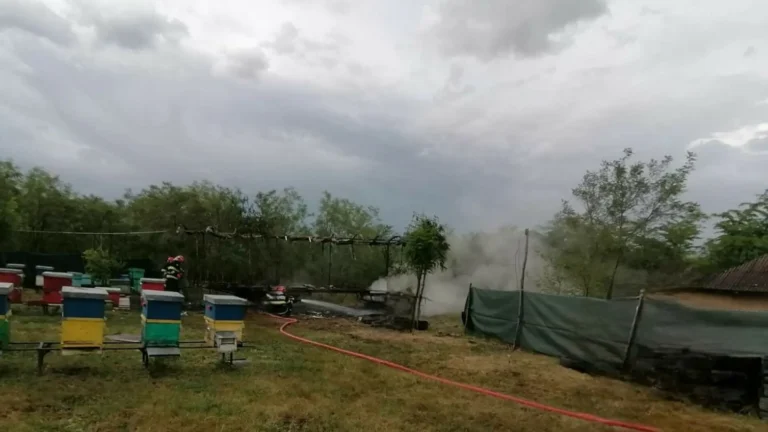 Incendiu la o platformă cu stupi amplasată pe raza localităţii Hăneşti din judeţul Botoşani