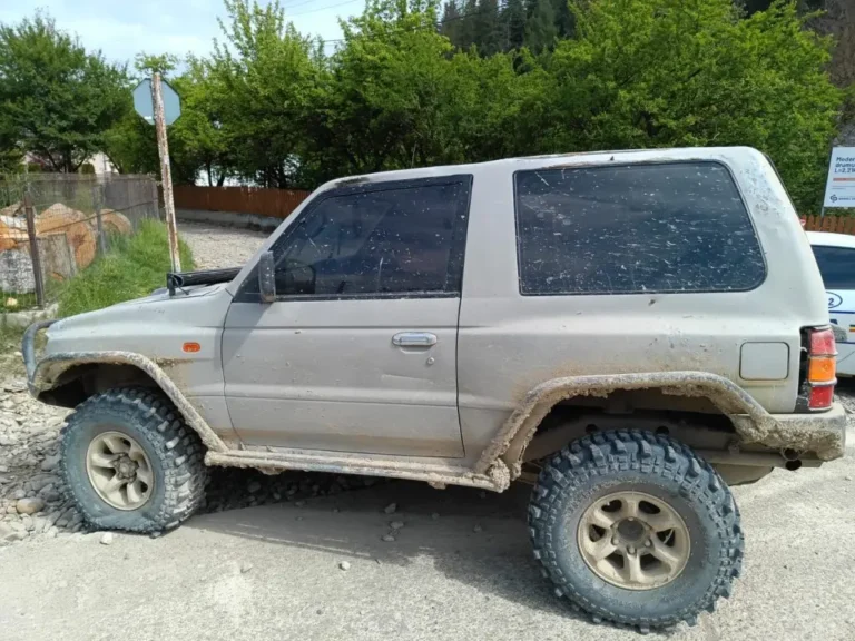 Șofer din Suceava oprit de polițiști cu ajutorul focurilor de armă