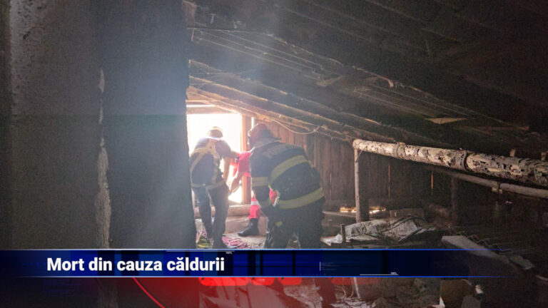 Mort din cauza căldurii