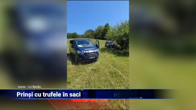 Prinși cu trufele în saci