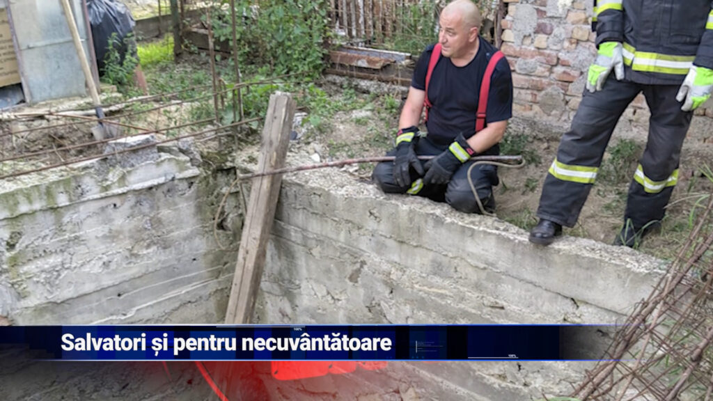 Salvatori și pentru necuvântătoare