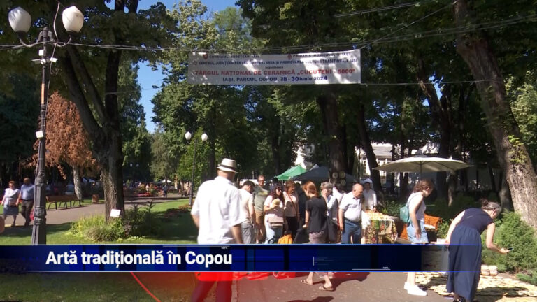 Artă tradițională în Copou