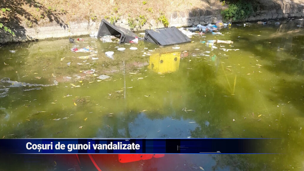 Coșuri de gunoi vandalizate