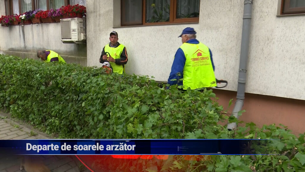Departe de soarele arzător