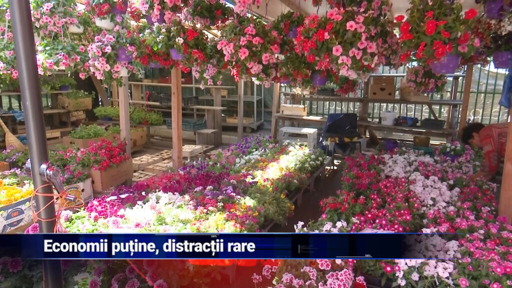 Economii puține, distracții rare
