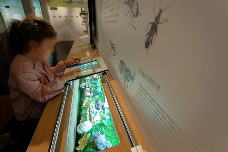 Parcul Natural Vânători Neamț, destinația perfectă pentru concediu