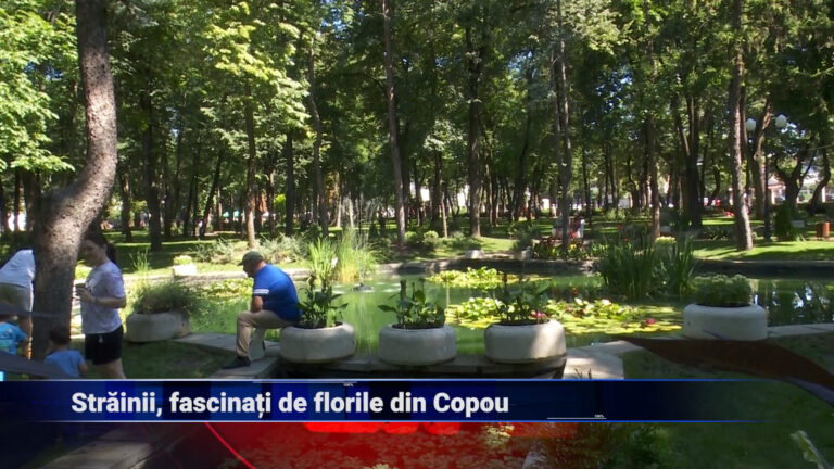 Străinii, fascinați de florile din Copou