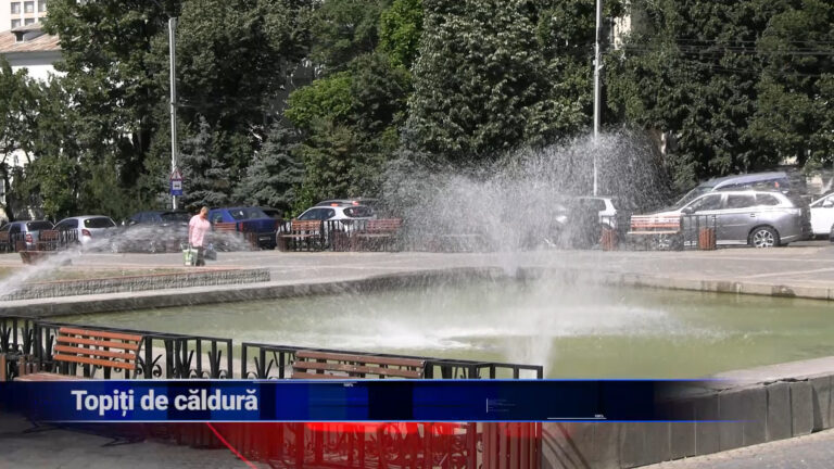 Toropiți de căldură