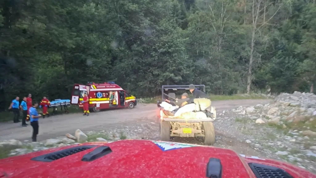 Un urs a atacat un bărbat în vârstă de aproximativ 63 de ani în comuna Rucăr