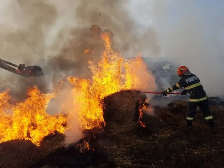 22 de tone de furaje făcute scrum la Mădârjac Incendiu