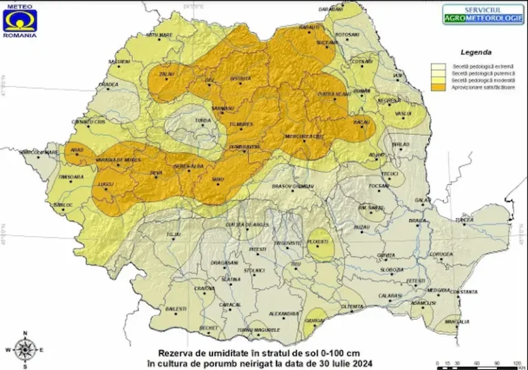 Adio, mămăligă românească! Secetă