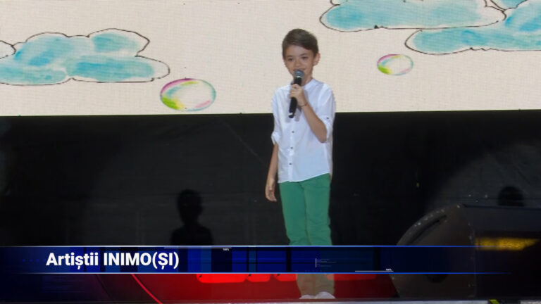 Artiștii INIMO(SI)