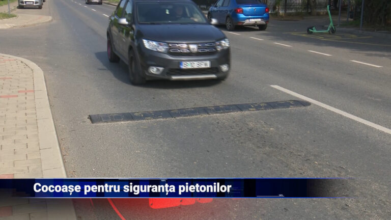 Cocoașe pentru siguranța pietonilor